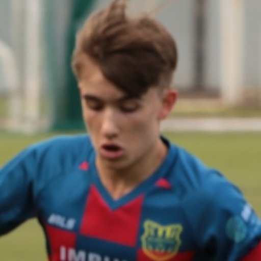 Чешуин Артём Денисович